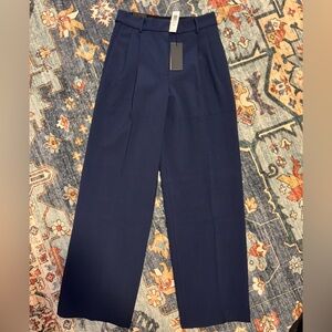 Aritzia Babaton Pleated Pants